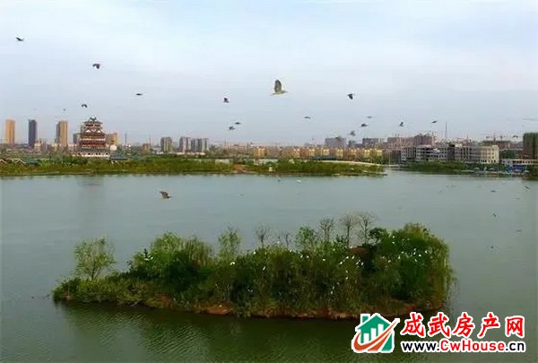 千年文亭湖，一座观澜苑